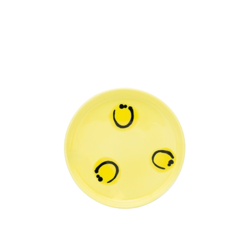 KAWAII BABY PLATE - YELLOW SMILE
